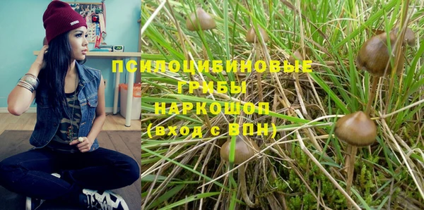 ПСИЛОЦИБИНОВЫЕ ГРИБЫ Алексин